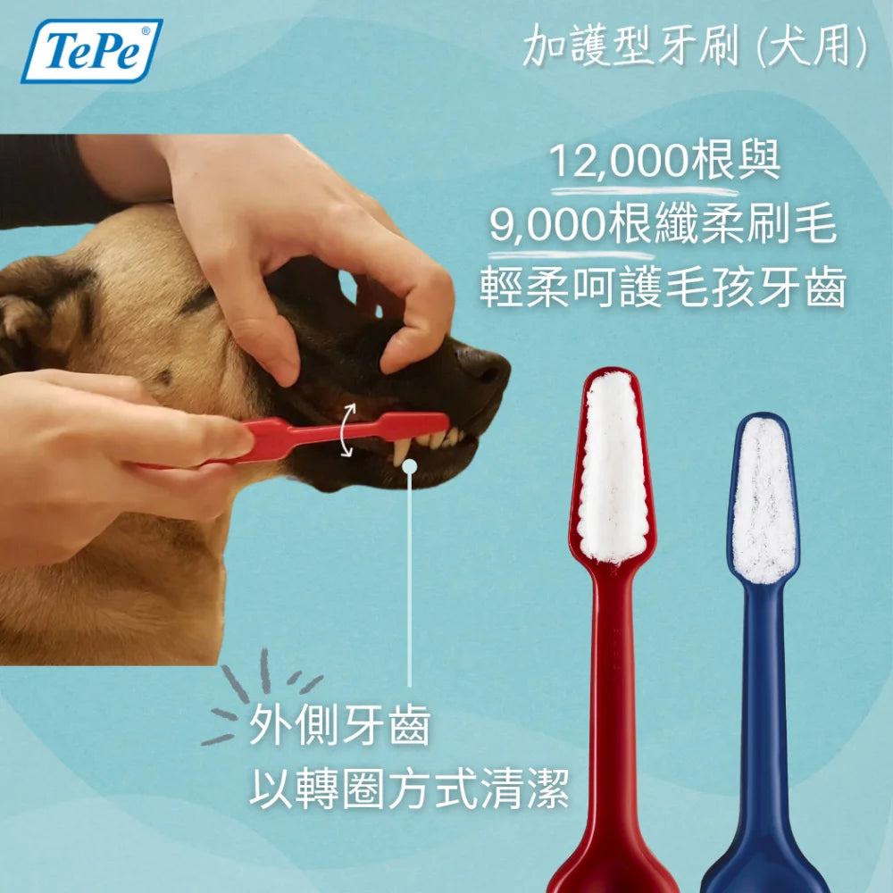 TePe Special Care™ 加護型牙刷 (犬用)